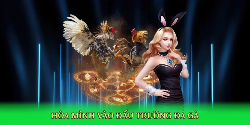 Hòa mình vào đấu trường đá gà