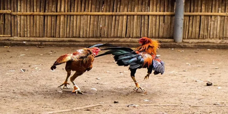 Yếu tố luôn hiện hữu